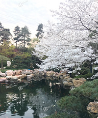 ����Ψ��ӣ���������������ӣ������ ����Զ���ձ�����