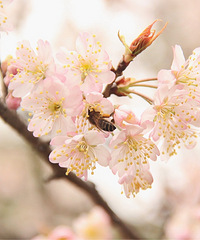 �����ļ��� ���ܴ��ⰻȻ