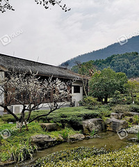 ��ɽ��÷��÷��ʢ���ǳ�����