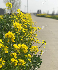 �̲�ס���ĵ��Ͳ˻�