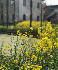 �̲�ס���ĵ��Ͳ˻�