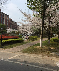 ��ӣ������Ҫ������ȥ��С����Ϳ��Կ�����