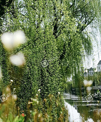 ����·�һգ�ۻ��ȥ ��Ҫ�ȴ����ȥ���پ����ִ�����ʲô#��