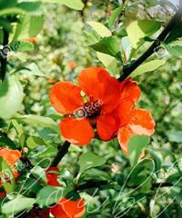 ����·�һգ�ۻ��ȥ ��Ҫ�ȴ����ȥ���پ����ִ�����ʲô#��