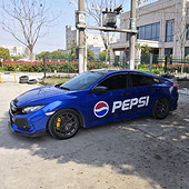 �����ɫ��Ư��