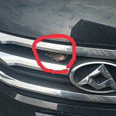 ��ȸ���ڳ�����