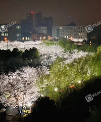 ͬôѧӣĲ񻰣˵껹ӣ֮ҹϸ