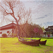 ������Խ�� ��ɫ����