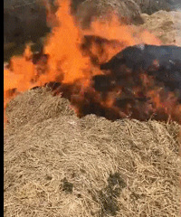 �����һ���ӷŻ��ղ�ȴ���Լ������ˣ�