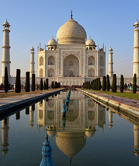 ��ӡ�Ȼ�����������5��������ֵ��һȥ