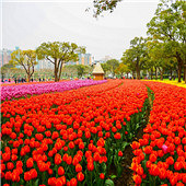 ���绨�� ��ĺÿ�