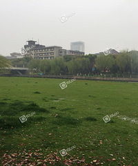 ڲƺˮôõĲƺ̫ϧˣ