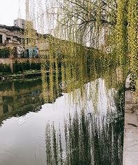 �̳ǳ�����᳾�� ����������ɫ�¡�