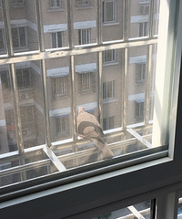 Ұ���ġ�����