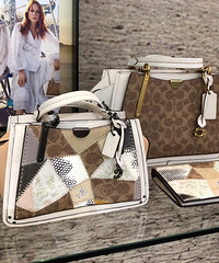 ����coach�¿������