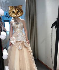 �����⼸����ɴ�о��ַ��ӱ�ɱ���ɱ�֣���Ϊȫ���Ľ�����