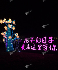 ���������ӣ������������