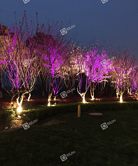 ���������ӣ������������