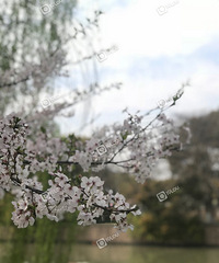 �������ɹ����