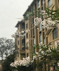 �������ɹ����