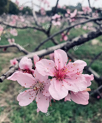 �ֵ��˼���һ������õ�ʱ��