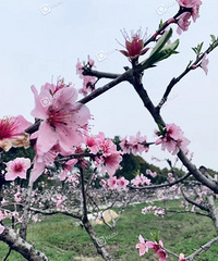 �ֵ��˼���һ������õ�ʱ��