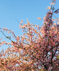 �����ļ���