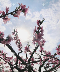 �������������� ����ú��ζ�������Ҳ�㱻ú��������