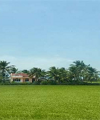 Խ��ѿׯ���μ� ��ʳ���ʳԵ��ˣ�