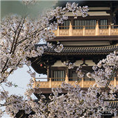 ����������С������