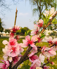 #����ɹ����#�Һ�����