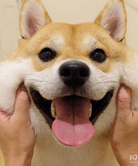 ����Ҫ�ż��� �����˷żٶ���ʲôѼ�����ѣ�ɨĹ