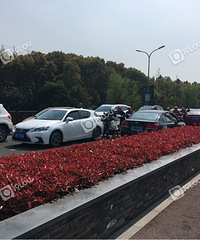 ����ǧ�����ţ���ҵ�andֲ��԰���˶࣡���࣡�¶¶£�