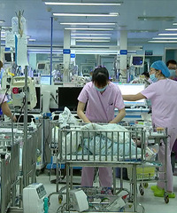 ������Ԥ���������ꣿ��һɱ����˭��2018��Ȩ�����ݷ���