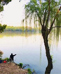 ���Ϻ�����