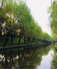 ���Ϻ�����