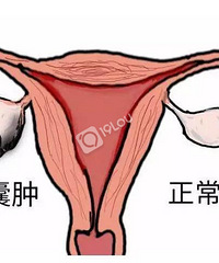 ���ˣ�������13����ŮС��¡��ҽԺ��鷢�֡�