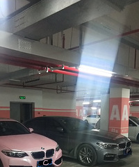 高级粉&高级灰 这两辆宝马扑面而来的cp感是怎么回事
