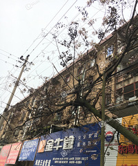 ���������̫ţ���ˣ���������������