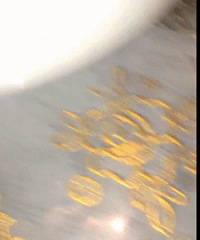 ��������Ź��ճ��������Ͽ飡��