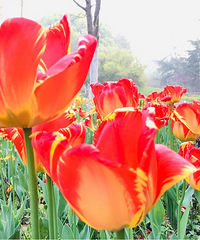 �����ļ��ˣ���������