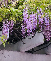 �����ļ��ˣ���������