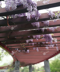 ��һ���ͻ���