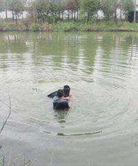 磡ͬ·Сһ̫׹ ˵ѡ