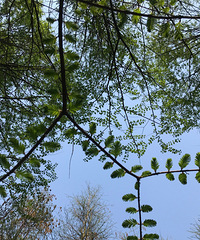 �����ζ��