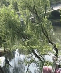 ����ĳС������ѩ���ˣ��������ģ�