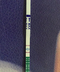 为了要老大备孕了很久 这次看到两条杠还是被惊吓到了...