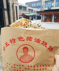 去了趟新塍 猪肉烧饼鲜肉月饼吴贝烧鸡同兴汤圆 除了吃还是吃