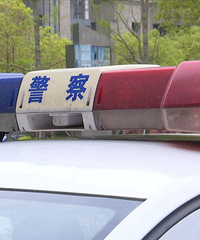 һҹĸǻ̵ſ  רǮԼˣ