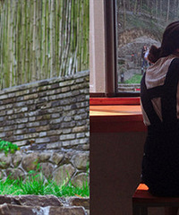 ��ů���� �������Զ�ʵĴ���ȥ��